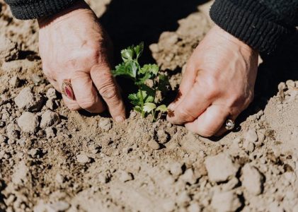 donner starypad manual