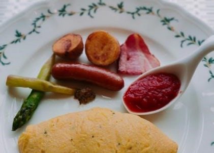 holstein omelette maker instructions