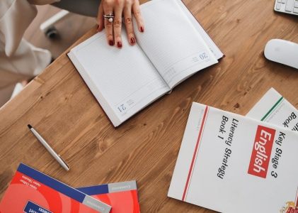 english grammar in use book pdf